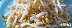 黄豆芽要煮多久能吃 黄豆芽要煮多长时间才能吃呢