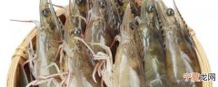 新鲜海虾存放方法 新鲜海虾如何存放更好