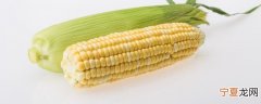 生的玉米可以放冰箱吗 生玉米能不能放冰箱保存