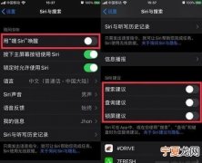 ios13小圆点在哪开，iphone 13小圆点怎么弄出来