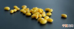 新鲜黄豆的保存技巧 新鲜黄豆有什么保存方法