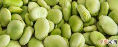 蚕豆生的可以放冰箱吗 蚕豆可以冷冻吗