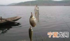 冬天钓鲫鱼打窝最佳方法 冬天钓鲫鱼怎么打窝