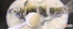鲤鱼和什么一起煲汤比较好 鲤鱼和什啥一起煲汤比较好