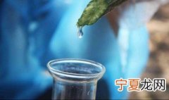 鲜丝瓜水怎么保存 鲜丝瓜水的保存方法