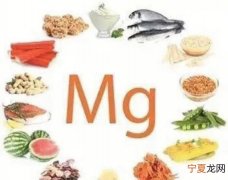 镁怎么读，锆字怎么锆字怎么读