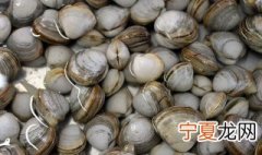 黄蚬子煮多长时间 大黄蚬子煮多长时间