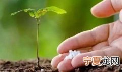 有机肥正确发酵方法 有机肥的发酵方法
