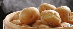 炖土豆要多久 炖土豆要几分钟才熟呢