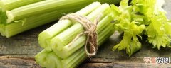 芹菜如何保鲜冬季 芹菜保鲜储存方法有哪些