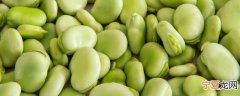 蚕豆减肥时可以吃吗 蚕豆减肥时能不能食用呢