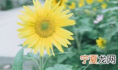 激励的网名 激励的网名大全