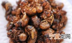 知了怎么处理才能吃 知了怎么吃