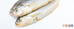 鲈鱼如何长时间保鲜 鲈鱼怎么长时间保鲜
