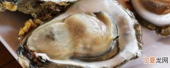 生牡蛎暂时不吃怎么保存 如何保存生牡蛎
