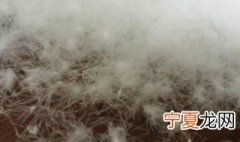 什么是90白鸭绒 什么是90白鸭绒羽绒服