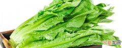 油麦菜如何保鲜 油麦菜长期保存的方法