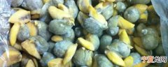 新鲜鲍鱼螺如何保鲜 新鲜鲍鱼螺怎么保鲜