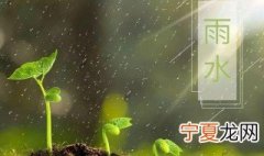 2021年的雨水是在哪天什么时间 2021年的雨水是在哪天什么时间来的