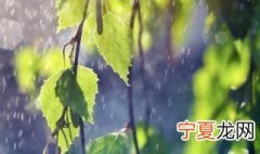 2021年雨水节气的来历简介 2021年雨水节气的来历简介视频