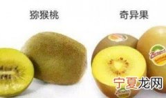 猕猴桃和奇异果的区别 猕猴桃和奇异果的区别是什么