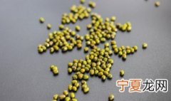 纸上种菜绿豆要泡多少分钟 用纸种绿豆的过程图片