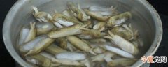 蛏子暂时不吃怎么保存的 蛏子吃不完的保存方法