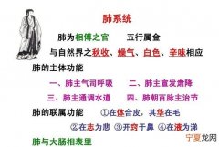 肺为相傅之官，通调身体从补开始