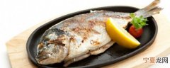 大雄鱼如何保鲜储存食物 大雄鱼怎样保鲜储存食物