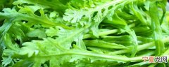 茼蒿如何保存新鲜 茼蒿有什么方法保存新鲜呢