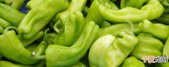 青菜椒怎么做好吃 脆爽肉香青彩椒炒肉家常做法