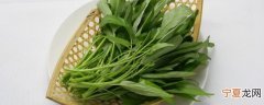 如何给青菜储存保鲜快 怎么保存青菜