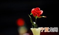 七夕送什么礼物 七夕送什么礼物好