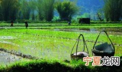 田家指的是什么动物 田家什么意思