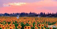 太阳的象征包括 太阳的象征