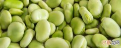 新鲜蚕豆如何保鲜储存的 蚕豆保鲜及储存方法