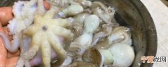 章鱼怎么保鲜 章鱼的保鲜方法介绍