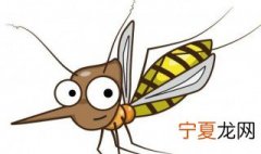 杀死蚊子最有效的方法 杀死蚊子的方法有哪些