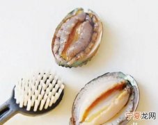 鲍鱼怎么清洗，鲍鱼买回家怎么清洗