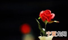 情人节是西方的还是中国传统节日 情人节是西方的节日吗