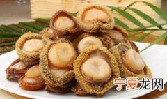 干鲍鱼怎么长期保存 干鲍鱼长期保存的方法简单介绍
