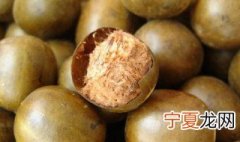 干的罗汉果怎么保存 干罗汉果保存方法介绍
