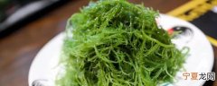 海草能生吃吗 海草能否直接生食呢