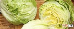 圆生菜能生吃吗 圆生菜可以直接生吃吗