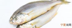 鱼死后怎么保鲜 死鱼怎样保鲜保质