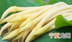 藕尖怎么保存 藕尖保存方法介绍