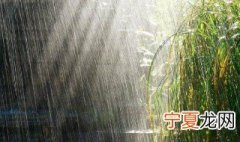最新雨的俗语精选短句 最新雨的俗语精选