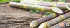 甘蔗放久了变黑能吃吗 甘蔗放久了变黑还可以继续食用吗