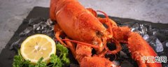 大龙虾死了要怎么保鲜 大龙虾怎么保存