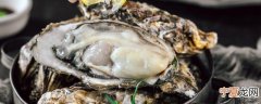 海蛎子能生吃吗 海蛎子可不可以直接生吃